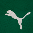 Camisa do Palmeiras I 25 Puma Masculina Torcedor