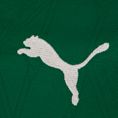 Camisa do Palmeiras I 25 Puma Masculina Torcedor